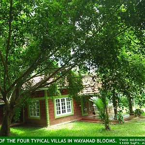 wayanad-blooms.kerala-hotels.net/
